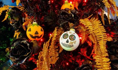 ’Tis the season to be spooky: have you decorated your Halloween tree yet?