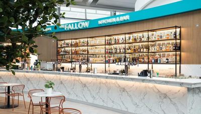 Review of The Fallow at Dublin Airport: ‘About 40 minutes after I’ve ordered, someone shows up with my burger. It looks sad, rather than the magnificent creation described’