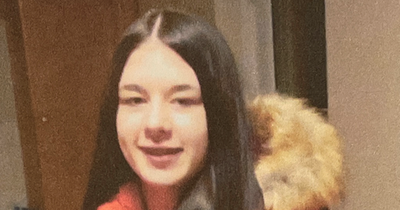 Gardai seek help in tracing missing Dublin teen