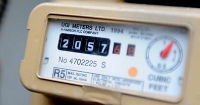 Meter reading message issued as householders given one-day warning