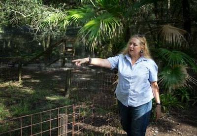 Hurricane Ian: Carole Baskin goes all-out to protect Big Cat Rescue animal sanctuary from ‘catastrophic’ storm