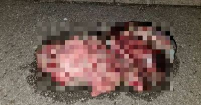 'Unidentified internal organs' left in street leaving residents 'shocked'