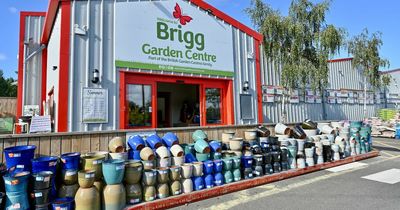 Garden centre group blossoms post Covid as national acquisitions deliver strong growth