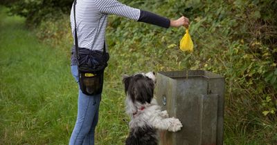 Furious man installs blunt sign outside his home to call out lazy dog owners