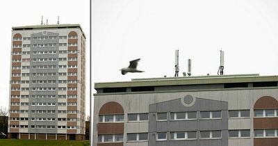 Ghost tower block EE phone mast will cost South Ayrshire Council six-figure bill to remove