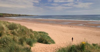 The hidden gem Scottish beach named as one of the best to walk your dogs in the UK
