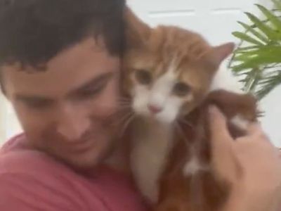 Man goes viral for adorable cat rescue from Hurricane Ian: ‘He’s everyone’s boyfriend now’