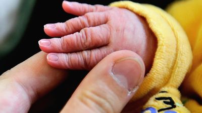 French birthrate on the rise after six years of decline