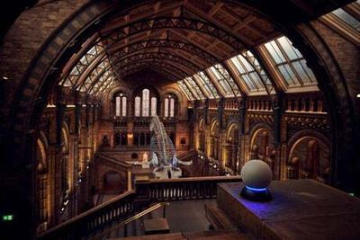‘Alexa, what’s my Natural History Museum fact of the day?’ World-famous museum links with Amazon virtual assistant