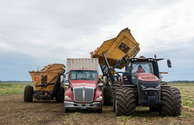 Pumpkin farms adapt to improve soil, lower emissions