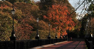 Autumn colours will be ‘unique’ this year but could be ‘at risk’, National Trust warns