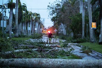 DeSantis waged war on green energy