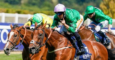 Newsboy's horse racing tips for Friday's four meetings, including Ascot Nap