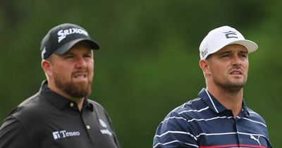 Shane Lowry brutally trolls LIV golfer Bryson DeChambeau