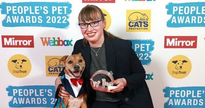 Hero cats and dogs who brighten up our lives are given Mirror People’s Pet Awards
