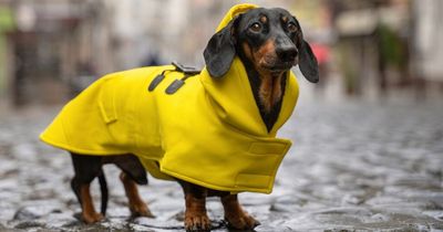 North East hour-by-hour Met Office weather forecast for Friday September 30