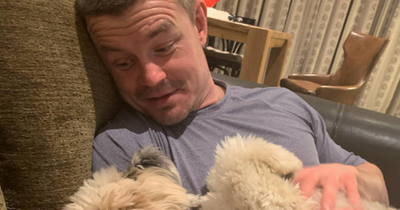 Brian O'Driscoll finally gives exact details of how he took home wrong dog from groomer