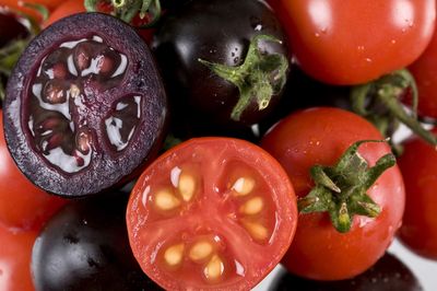 A purple tomato will hit shelves in 2023