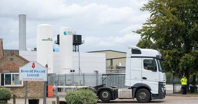 Abattoir owner fined £300k after town plagued by stench like 'rotting bodies and flesh'