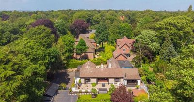 'Treetops' home secluded behind electric gates on an exclusive road