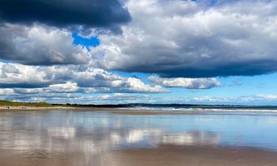 Country diary: Seascape and saltmarsh make a feast for the senses