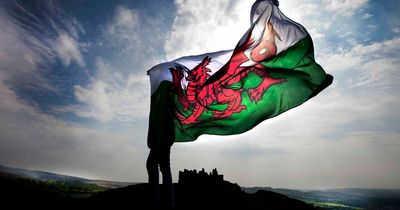 New report proves Wales can afford independence says Plaid Cymru