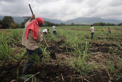 In Colombia, land occupations raise tensions and spook investors