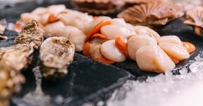 UK growth for Northcoast ahead of Japanese-backed buy-out of £115m seafood firm