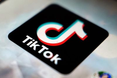 TikTok politics: Candidates turn to it 'for better or worse'