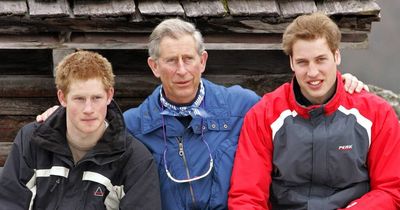 Netflix searching for a young Prince Harry for new series of The Crown