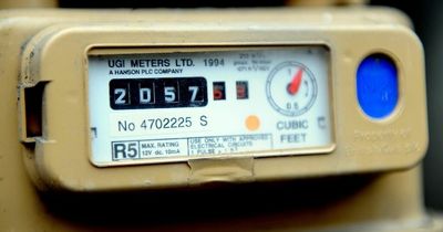 Martin Lewis and Which? energy price cap advice on taking meter reading