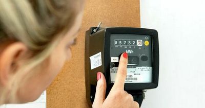 Why you need to read your gas and electric meter today - how to submit