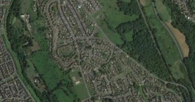 Mum torched neighbour's decking after wrongly believing he was a paedophile