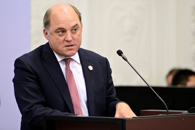 UK's defence minister visits Ukraine to offer support