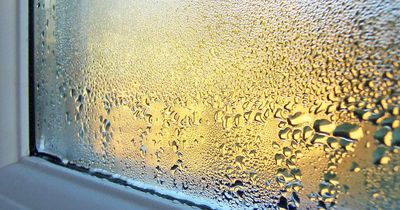 Expert shares four ways to tackle condensation on your windows in the morning as temperature drops