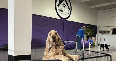 West Lothian doggy daycare supports SSPCA by accepting donations for Pet Aid