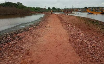 NGT directs A.P. Maritime Board, GMR Group to restore Kakinada mangrove, mudflat