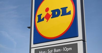 Lidl made to destroy thousands of chocolate bunnies after court-case loss to Lindt