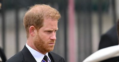 Prince Harry mystery timeline as royal 'learned Queen died from news alert'