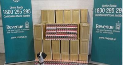 Dublin detector dogs sniff out huge haul of illegal cigarettes and herbal cannabis