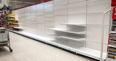 Supermarket shelves could be left empty with government 'sleepwalking' into supply crisis, say MPs