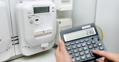 Concern grows for vulnerable families with a prepayment meter as energy price cap hits