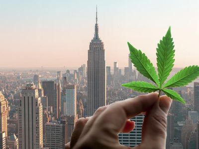 GOP Lawmaker Questions MMJ Legalization, Calls It 'Stepping Stone' To Recreational Use