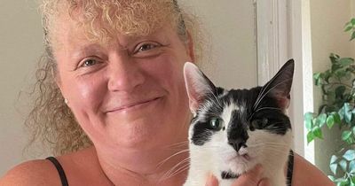 Burglar cat brings home the most random thing ever - leaving his owner mortified
