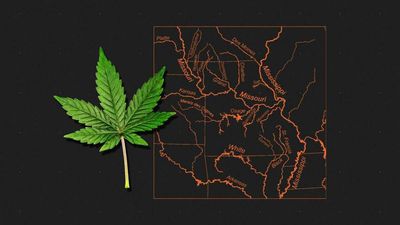 Missouri Libertarian Party Declines To Endorse Marijuana Legalization Initiative
