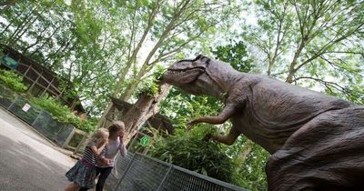 Gulliver's World hosting dinosaur themed sleepover experience