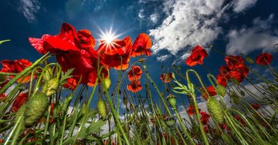 North East weather hour-by-hour Met Office weather forecast for Saturday October 1