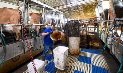 Pay bumps coming for more farmworkers, long denied overtime