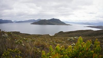 Lake Pedder, a dam on a fault line and a Tasmanian town downstream — but what's the risk?