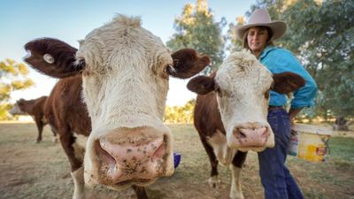 Undoolya, the NT's oldest cattle station, celebrates 150 years of pastoral lease